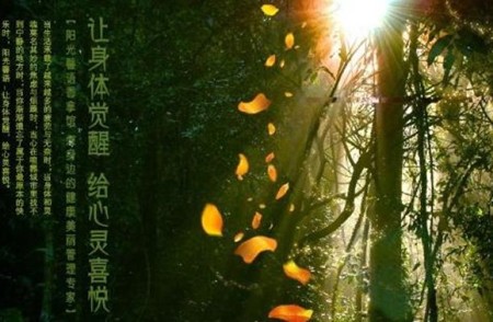 阳光馨语香拿馆